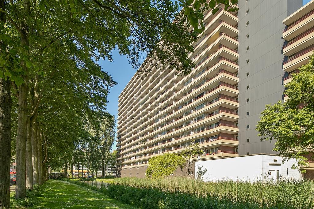 Photo 23 of Arthur van Schendelplein 169