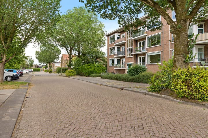 Foto 5 van Iepenstraat 14