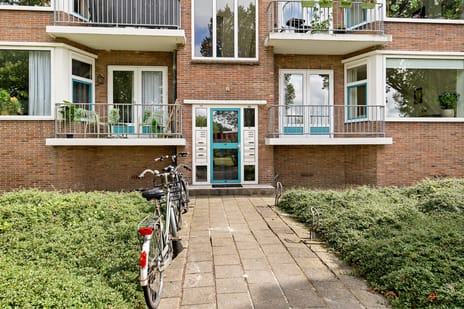 Iepenstraat thumbnail