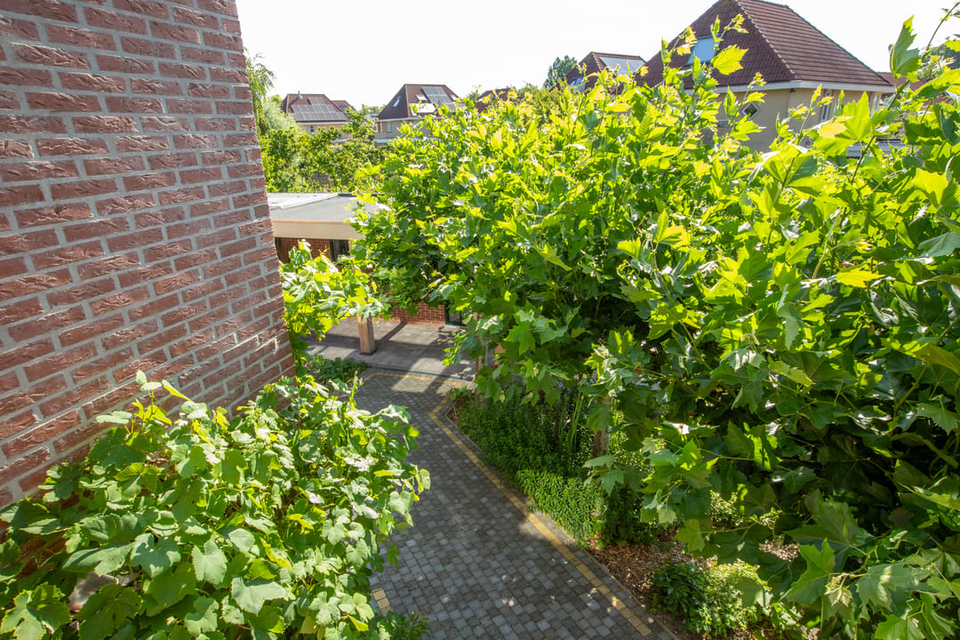 Foto 41 van Esdoornstraat 19