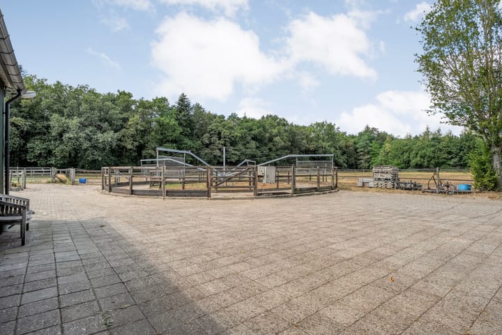 Vrijstaande woning te koop: Larixweg 6, Rheezerveen
