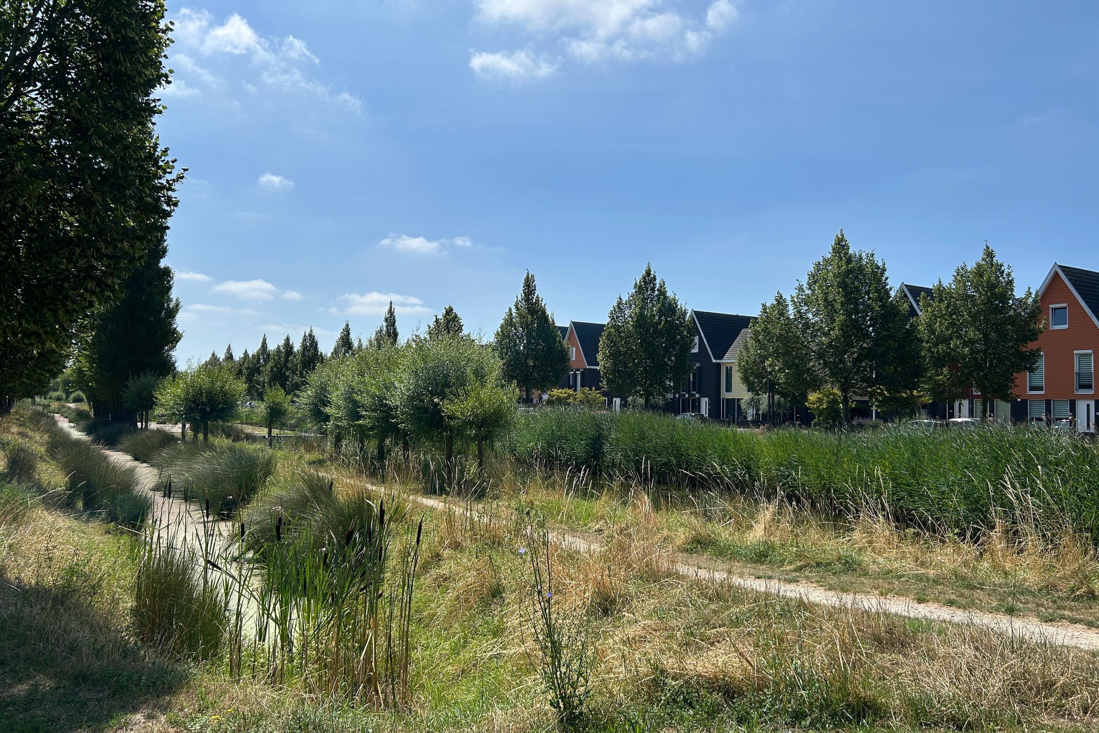 Foto 54 van Paaldijk 47