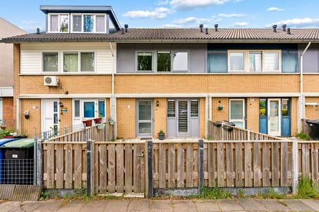 Gerard Terborchstraat thumbnail