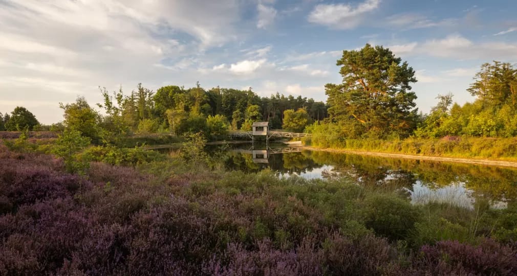 Photo 51 of Ommerweg 63