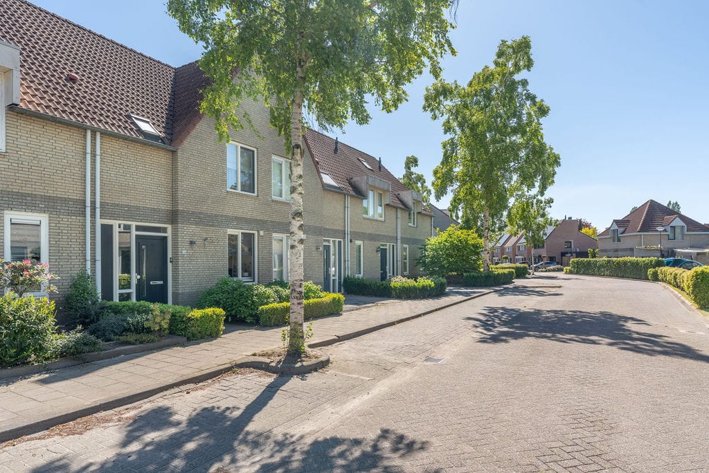 Foto 43 van Bieslook 45