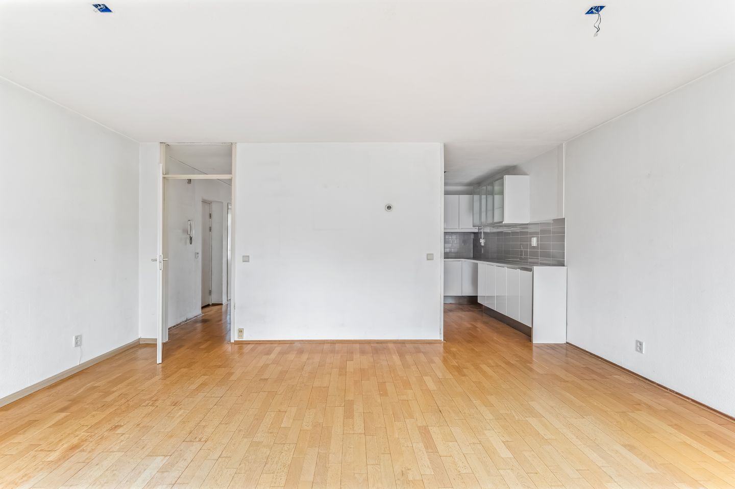 Photo 10 of Beestenmarkt 5