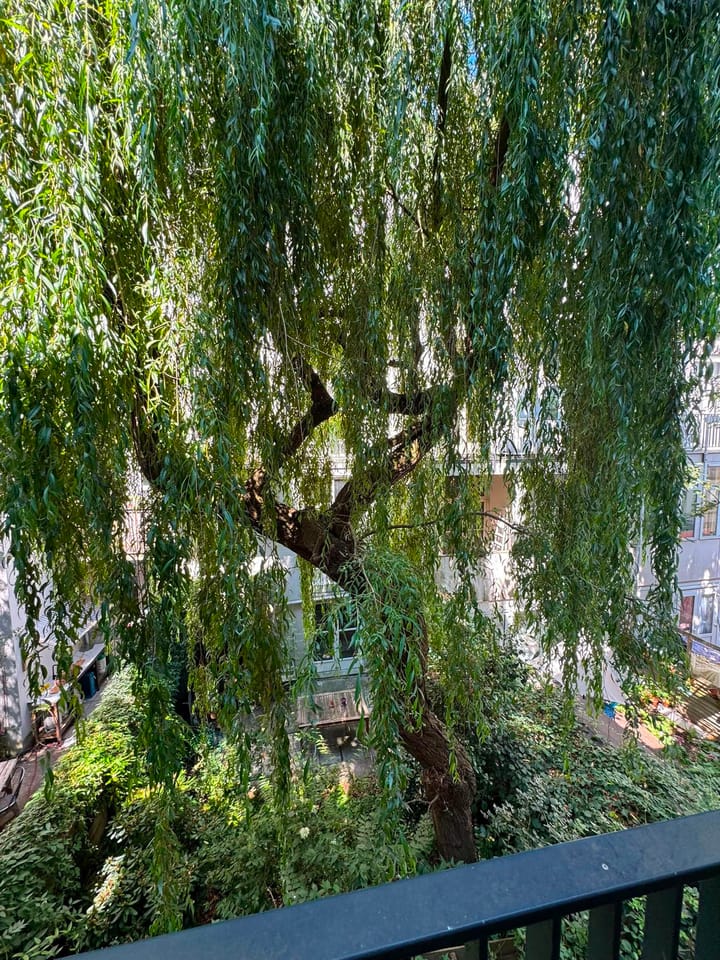 Appartement te huur: Govert Flinckstraat 299-1, Amsterdam