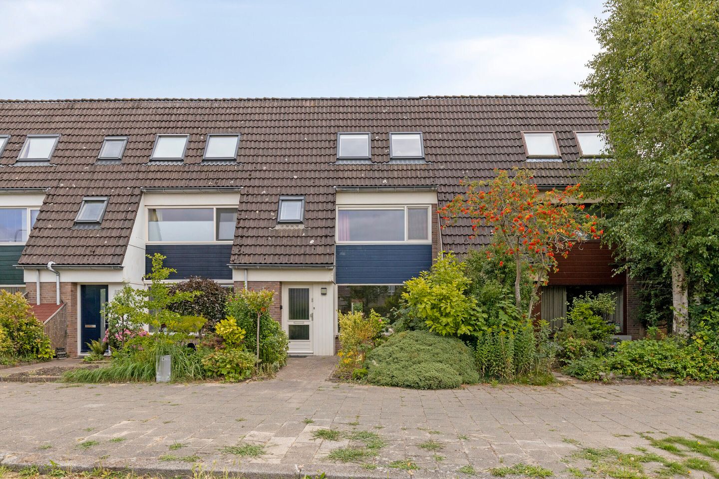 Foto 1 van Zwanebloem 7