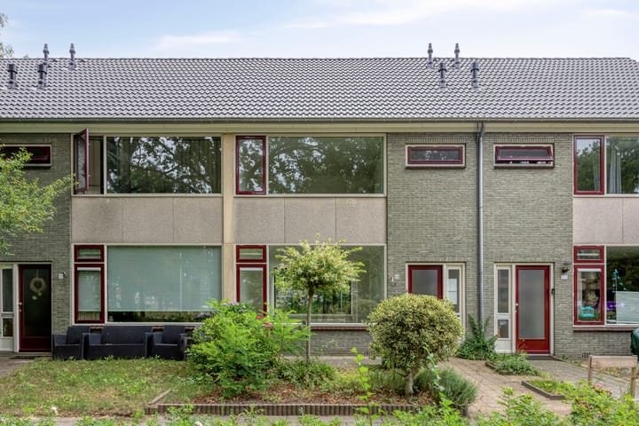 Vliet 53
