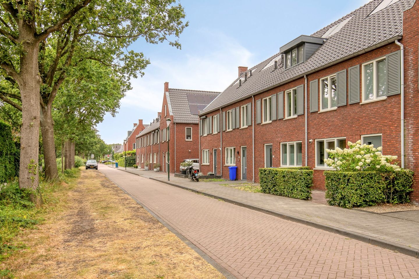 Foto 5 van Pegasus 43