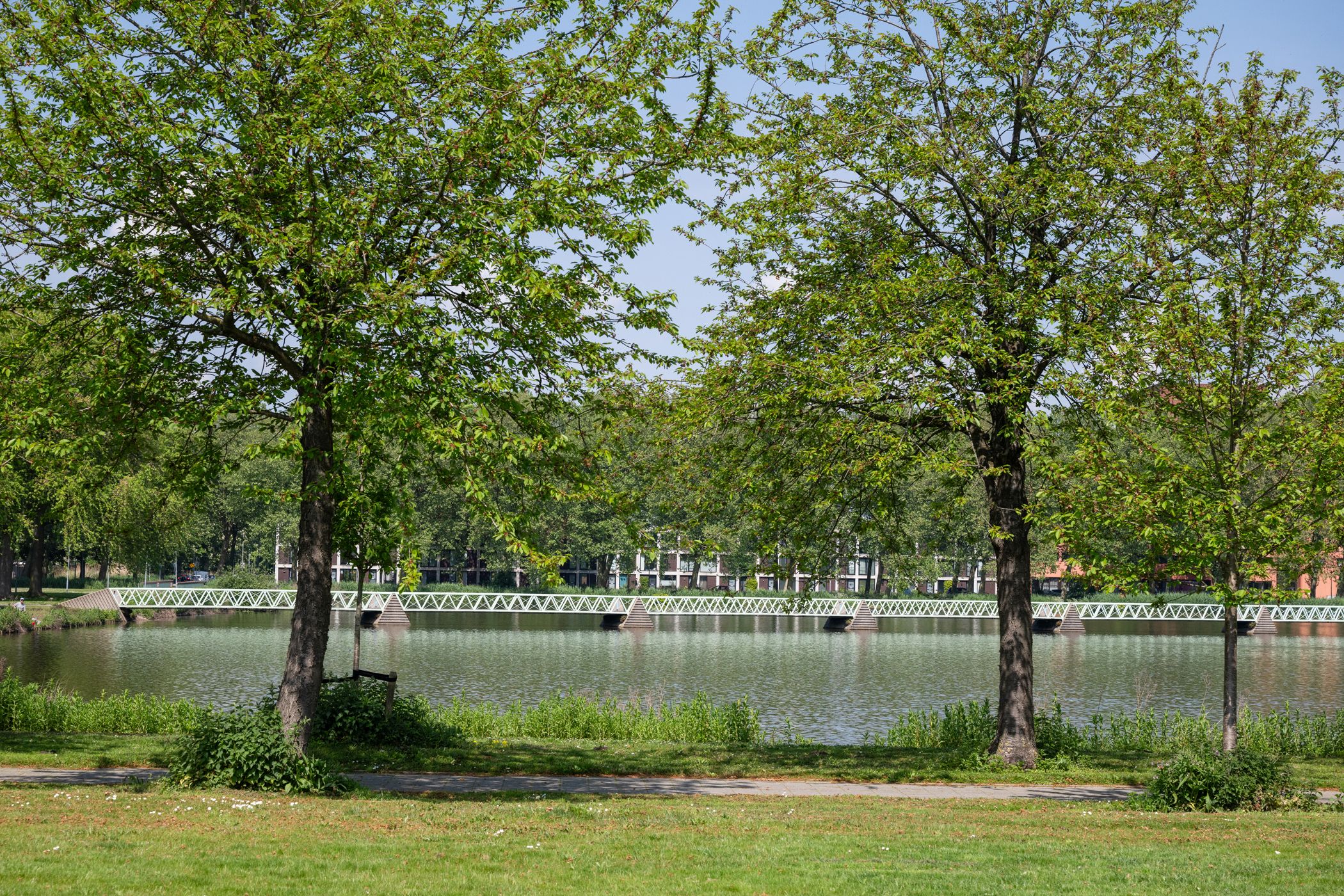 Foto 54 van A. Noordewier-Reddingiuslaan 89