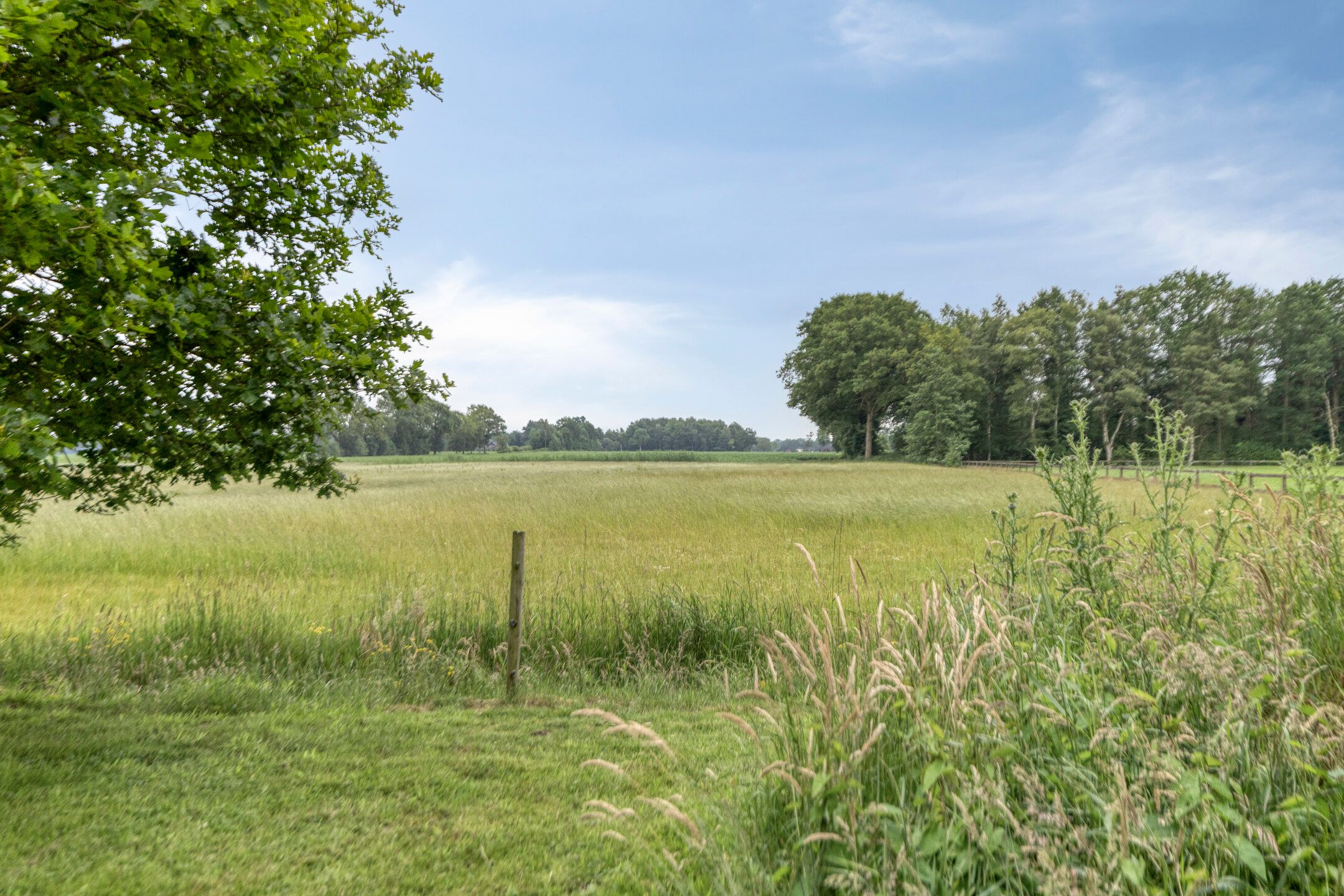 Foto 33 van Oosterstreek 92-A
