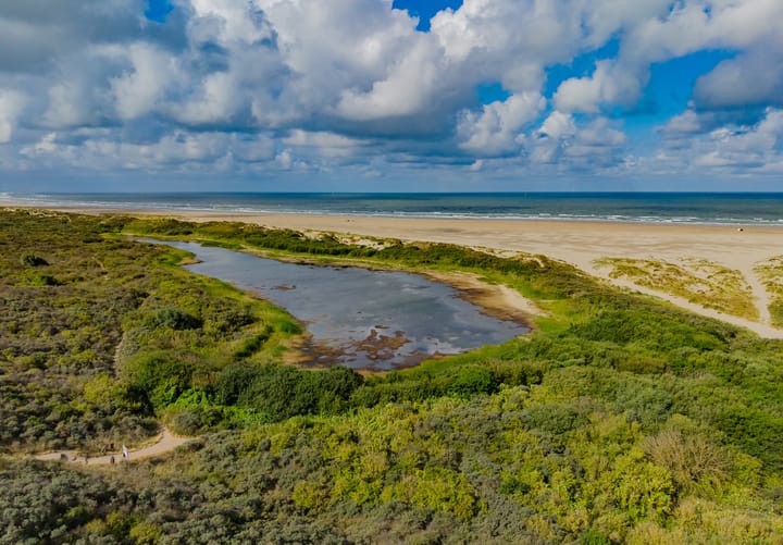Foto 4 van IJmuiderslag 71