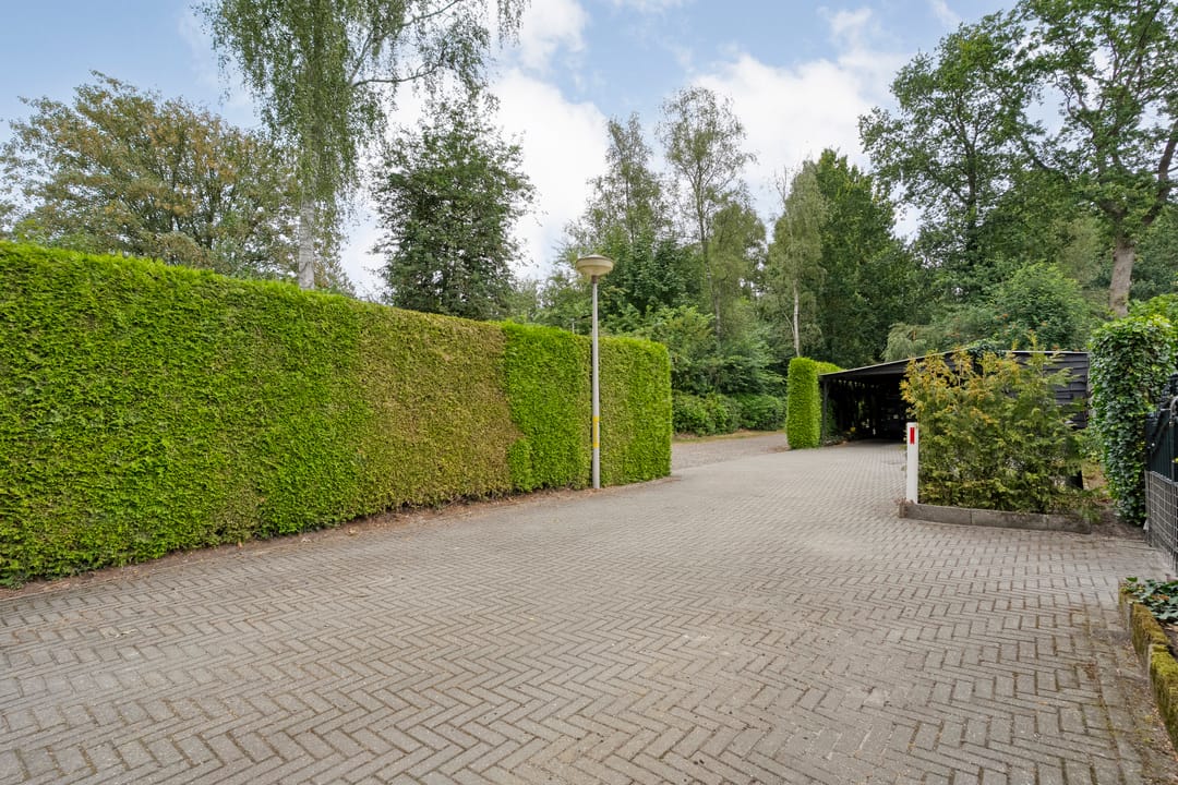 Foto 46 van De Haar 4-R37