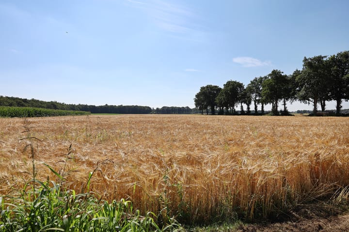 Foto 4 van Hoofdweg 224