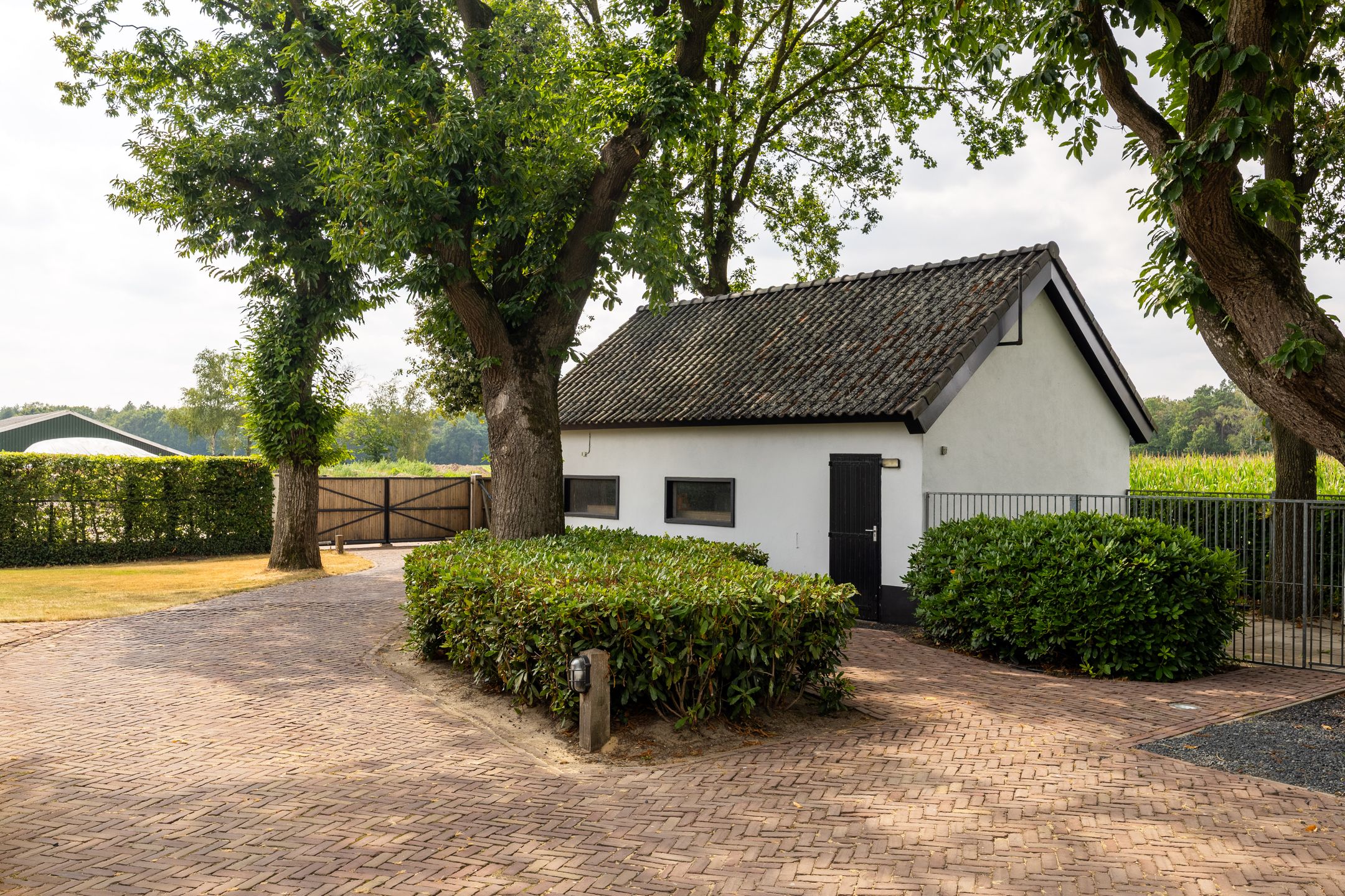 Foto 48 van Pijnendijk 8