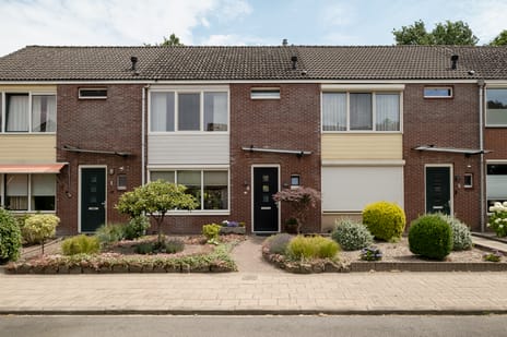 Flamingostraat thumbnail