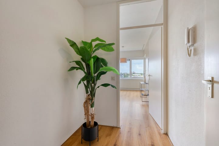 Appartement te koop: Penelopestraat 213, Eindhoven