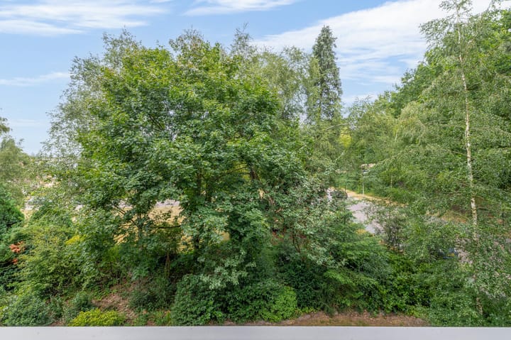 Appartement te koop: Lippe Biesterfeldstraat 39-3, Arnhem