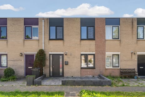 Zonnebloemweg thumbnail