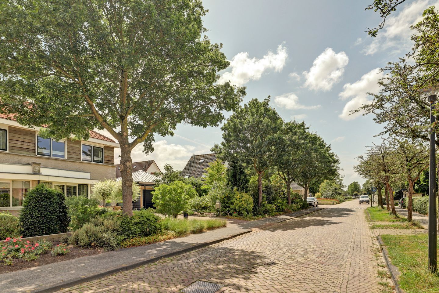 Foto 49 van Aldewei 4