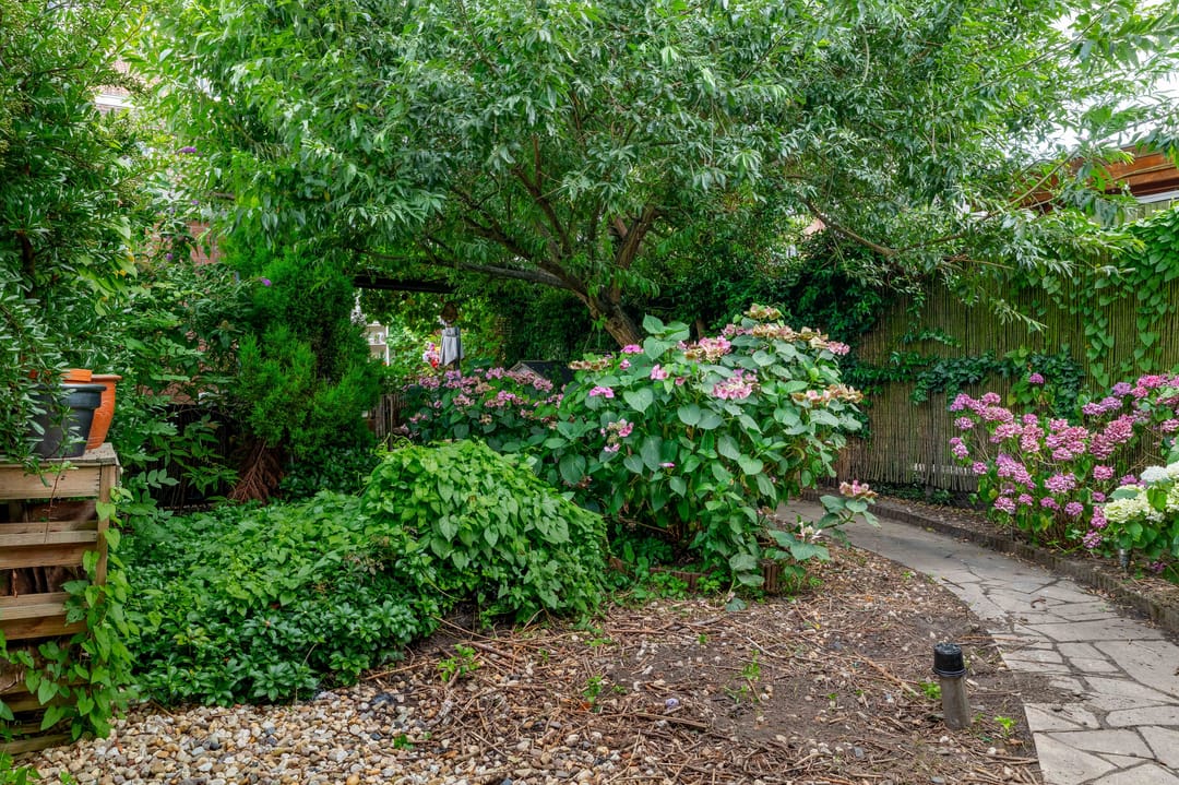 Foto 26 van Burgemeester de Bruïnelaan 123