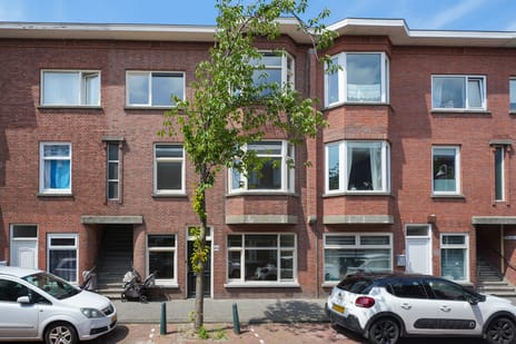 Reinwardtstraat thumbnail