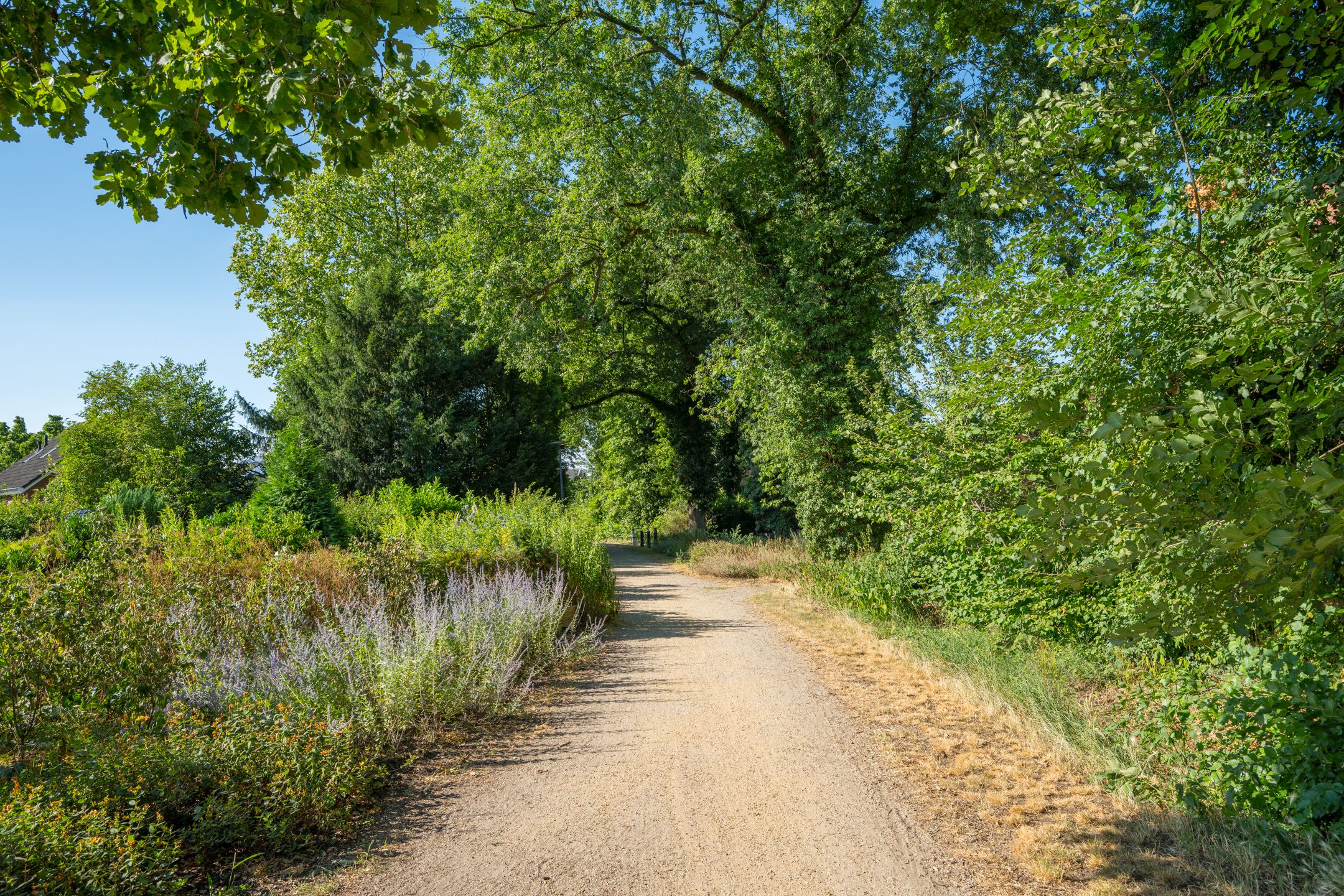 Foto 9 van Pasbrink 74