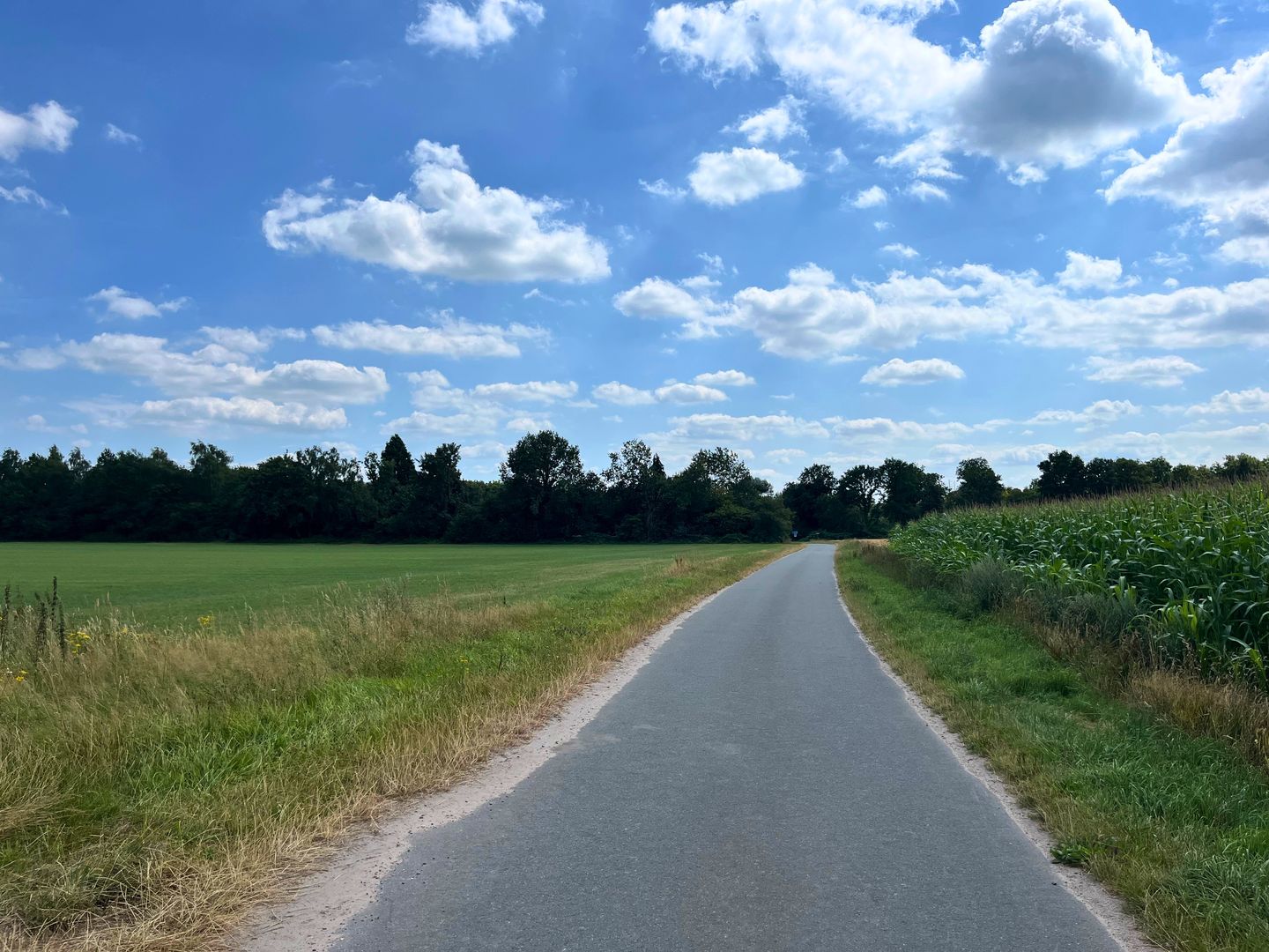 Looweg - Gasselte - Afbeelding 5