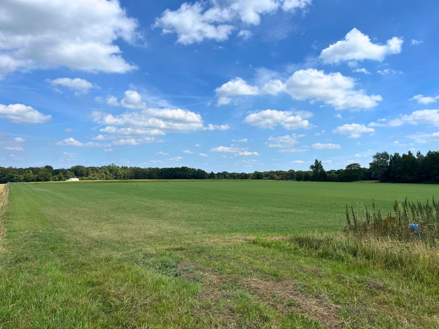 Looweg - Gasselte - Afbeelding 3