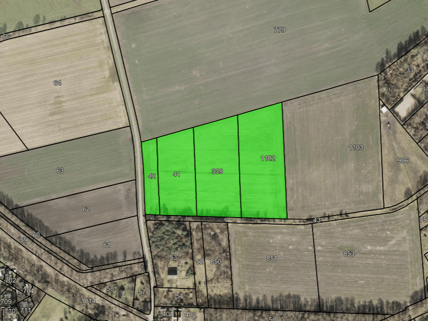 Looweg - Gasselte - Afbeelding 1