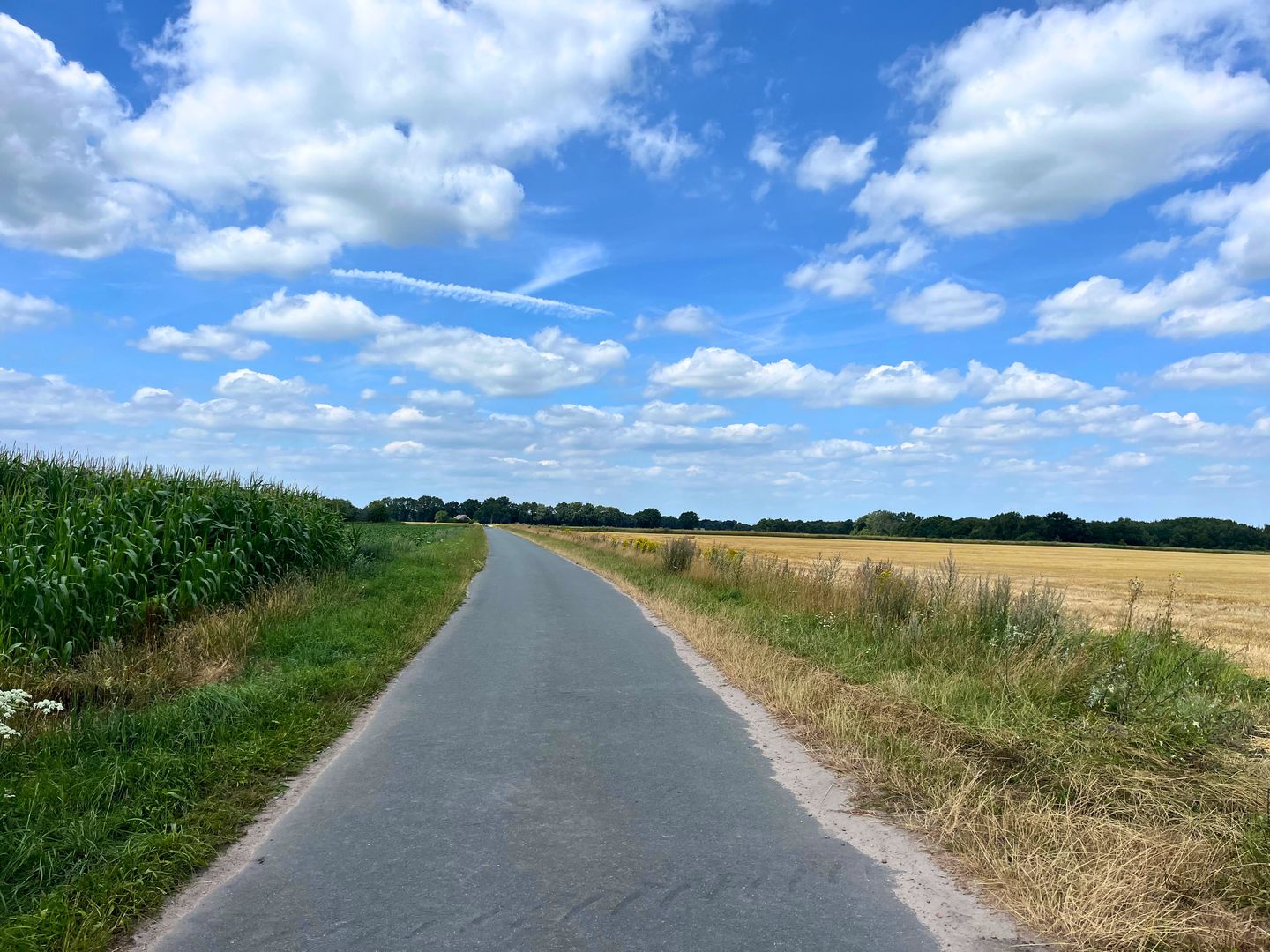 Looweg - Gasselte - Afbeelding 6