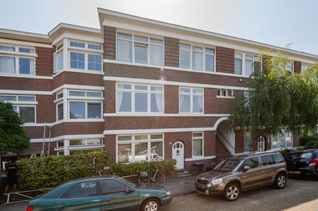 Sleedoornstraat thumbnail