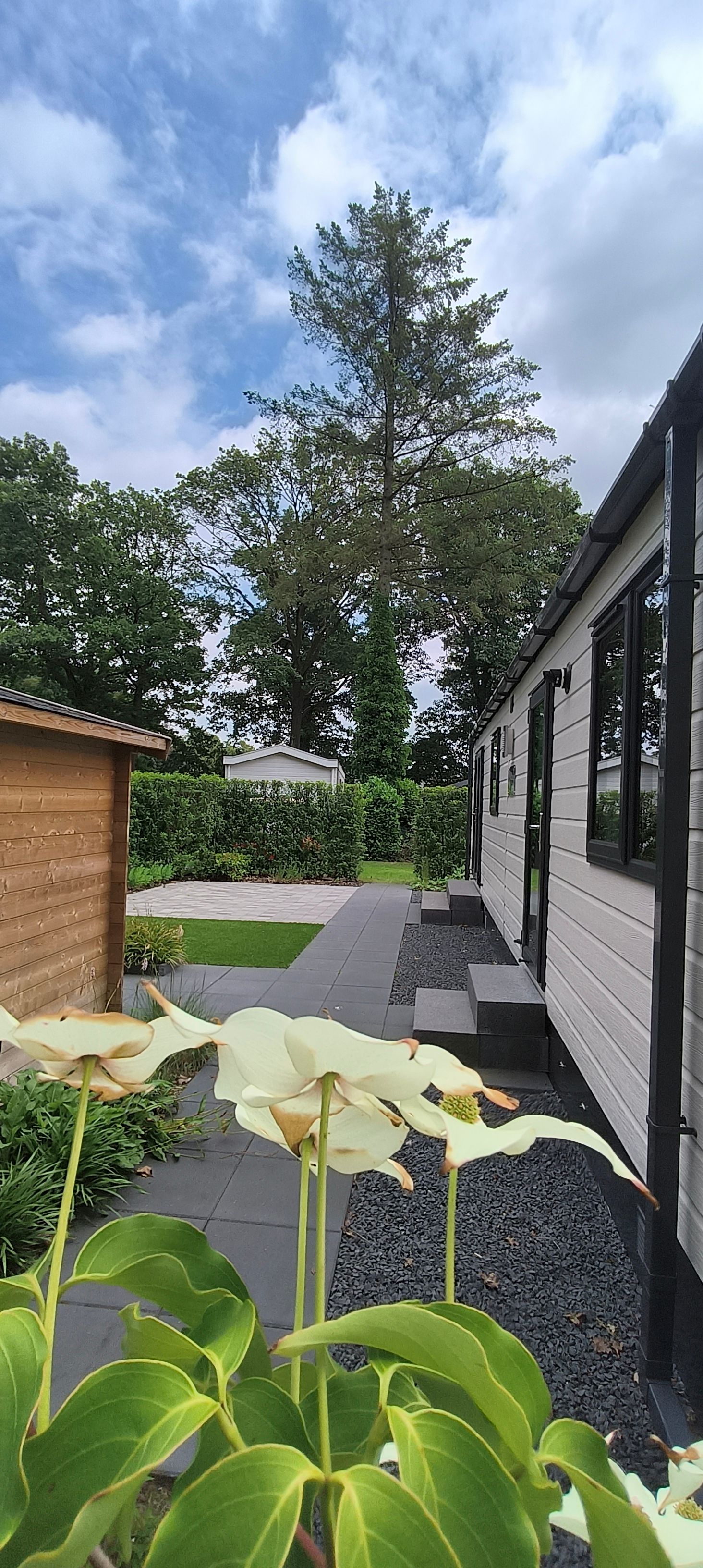 2-bedroom freehold villa in Voorthuizen — photo 5 of 5