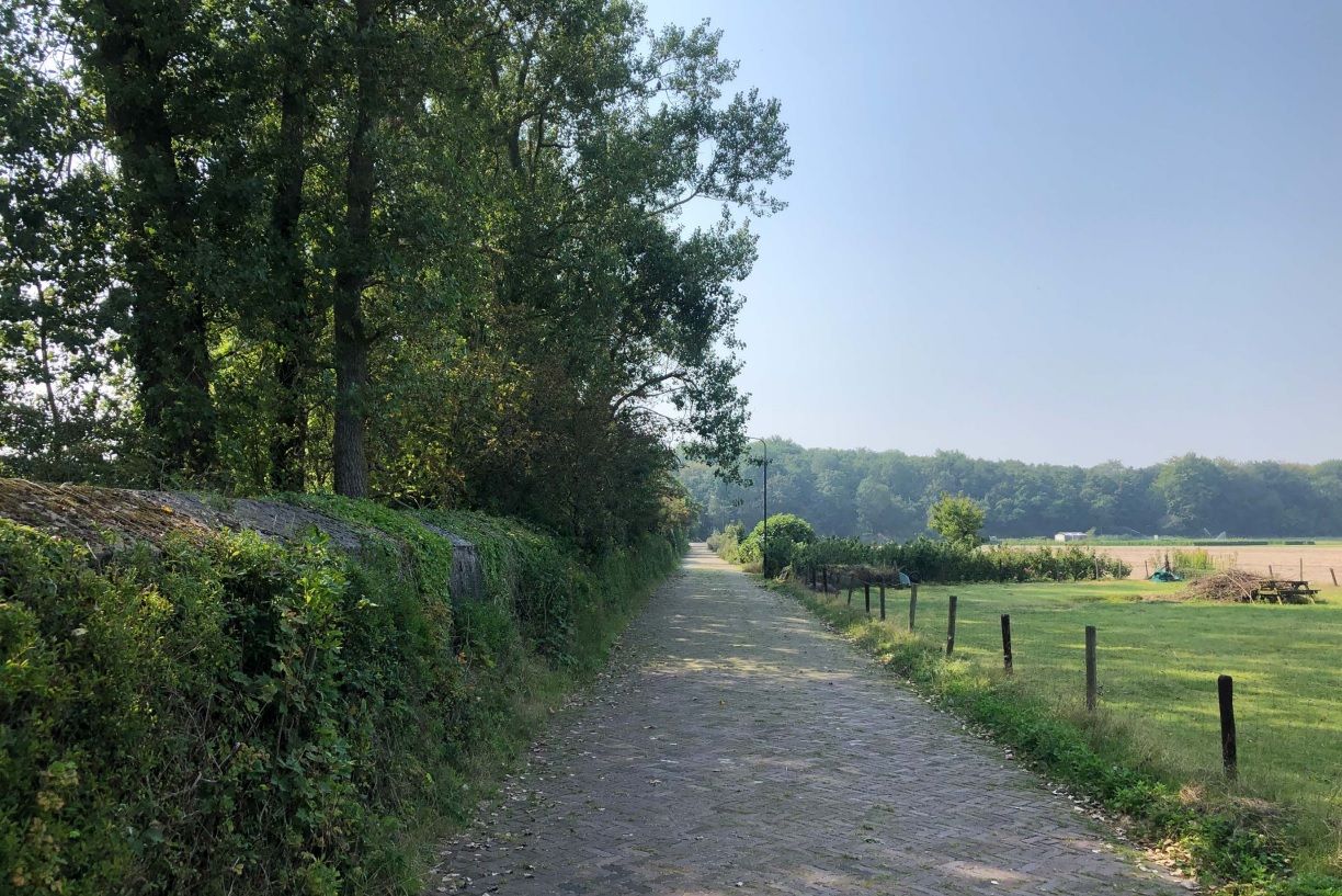 Foto 12 van Zanderijweg 14