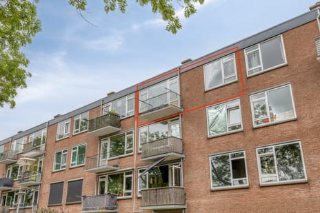 Paulus Potterstraat thumbnail
