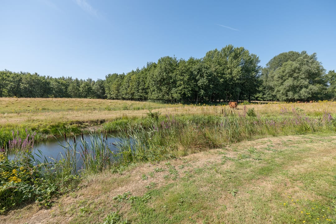 Photo 83 of Otelaarseweg 21-B