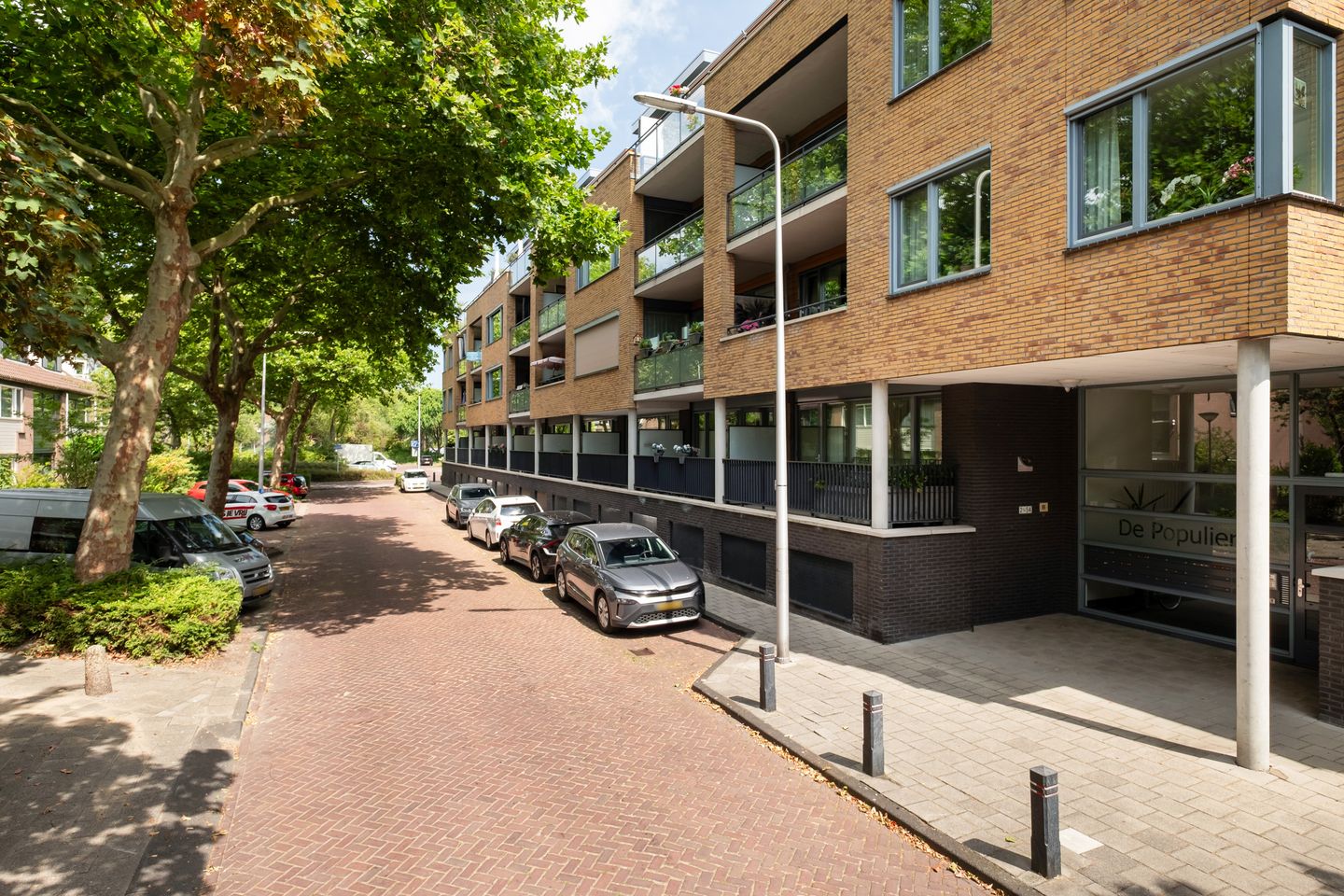 Foto 1 van Populier 42