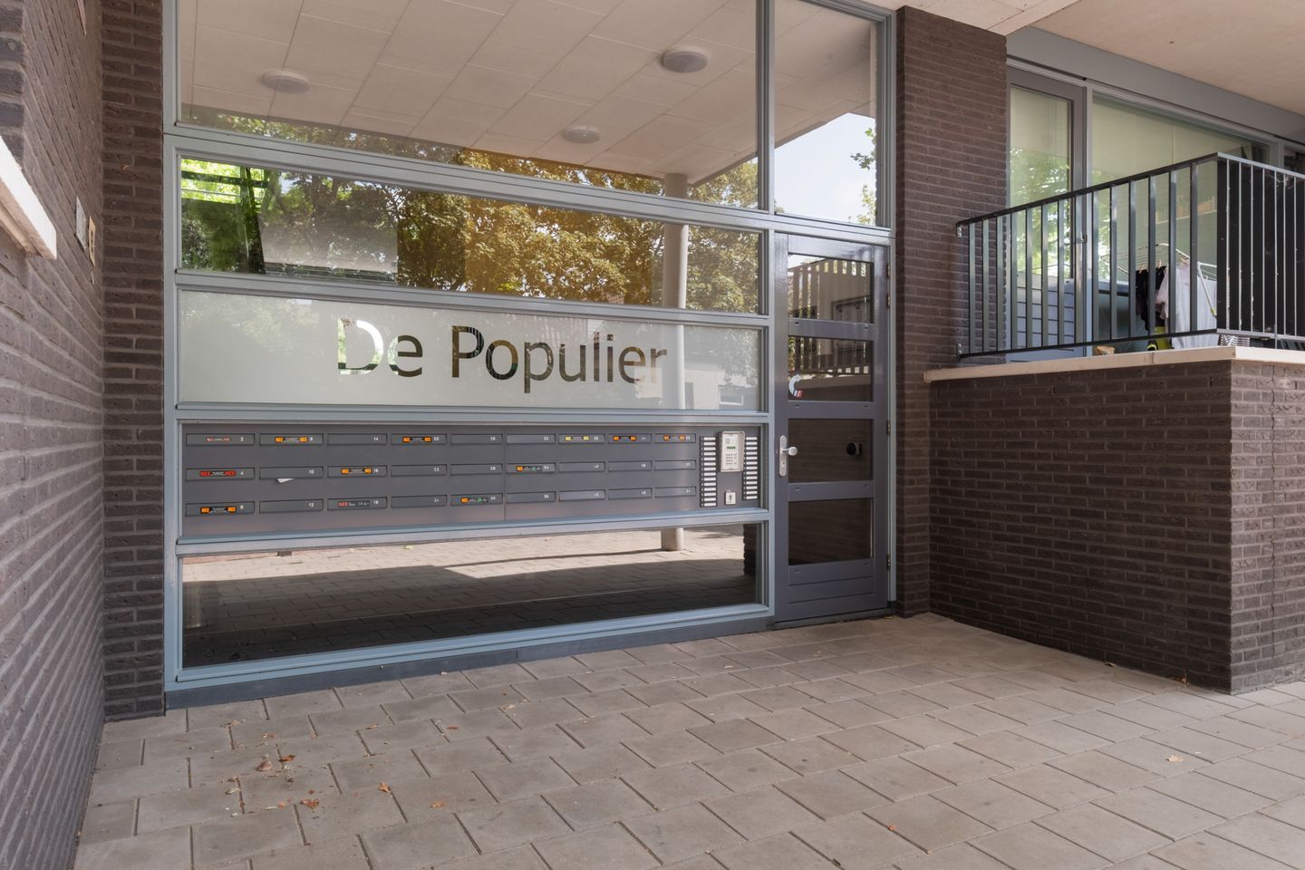 Photo 40 of Populier 42