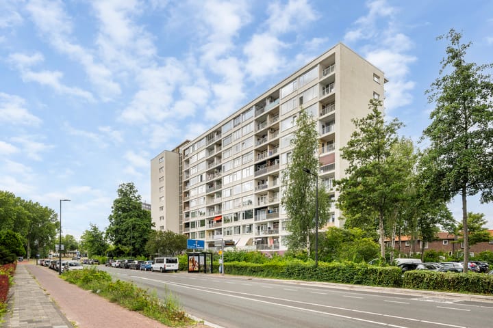 van Hogendorplaan 206