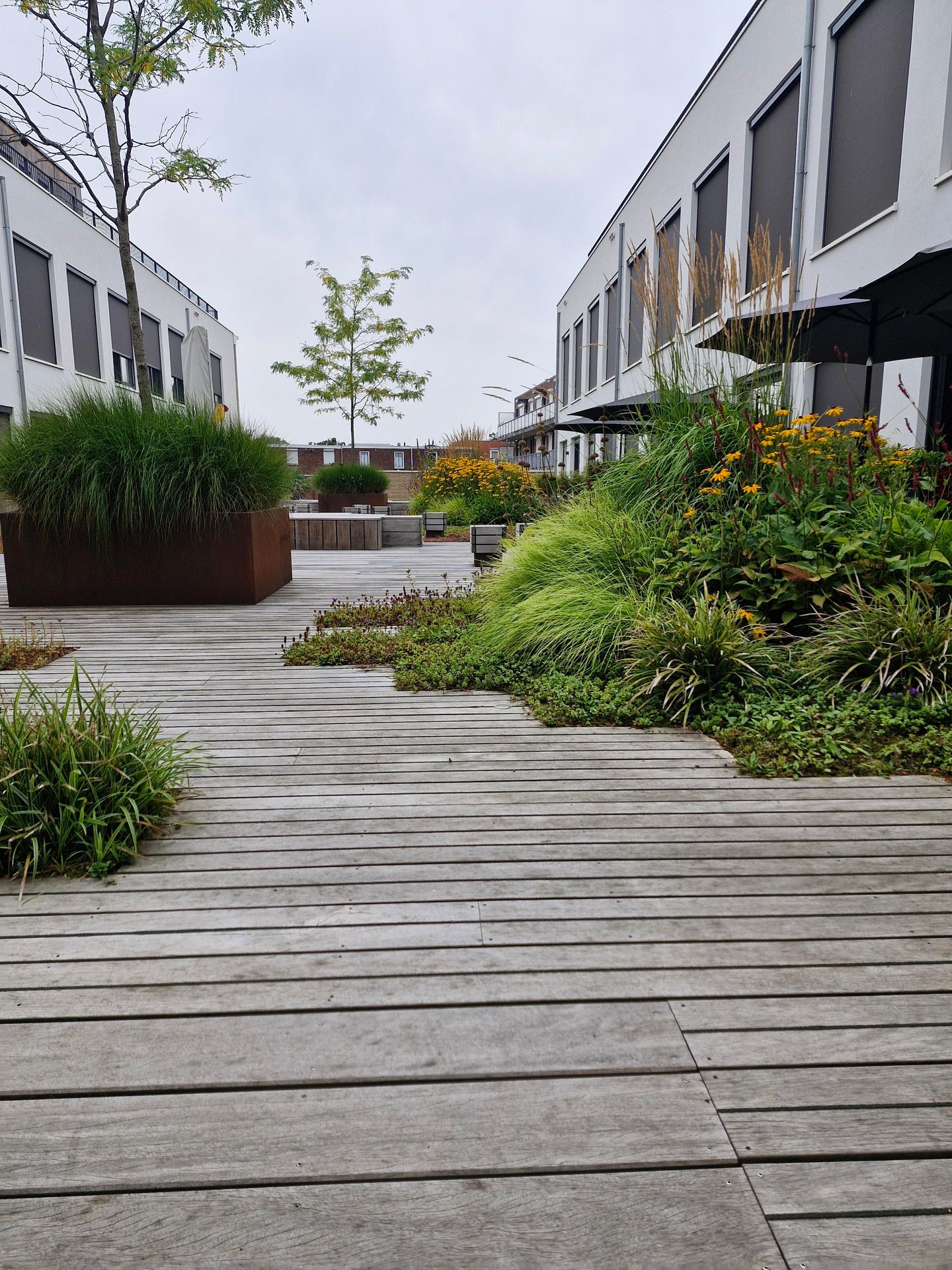 Photo 40 of Arnoldus Asselbergsstraat 3-U