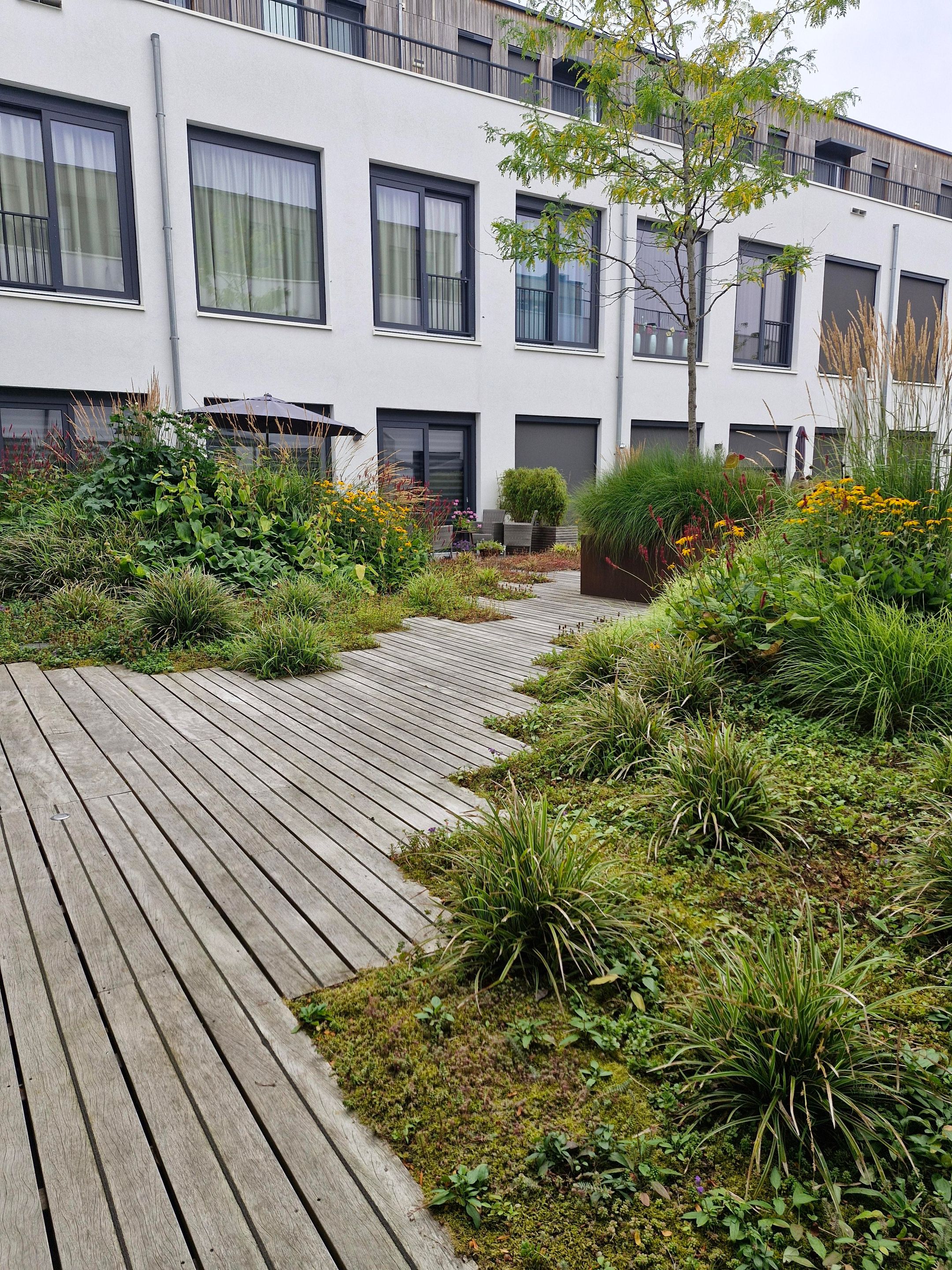 Photo 39 of Arnoldus Asselbergsstraat 3-U