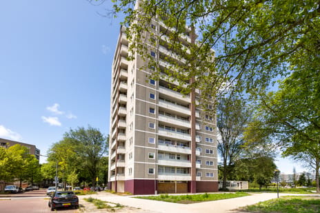 Ierlandstraat thumbnail