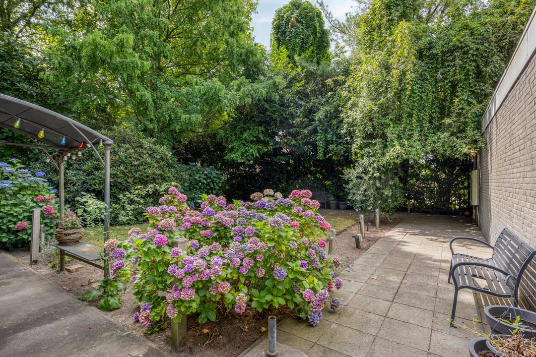 Foto 47 van Chrysantenstraat 34