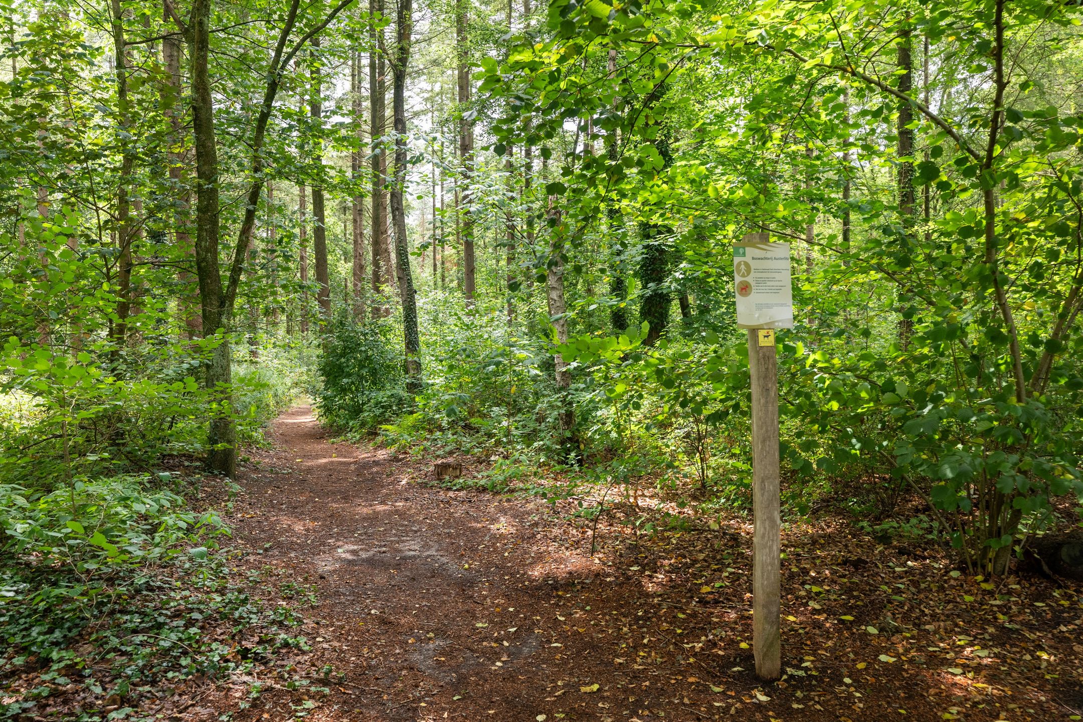 Foto 42 van Marmontweg 48