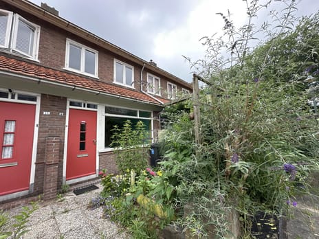 Wielrenstraat thumbnail