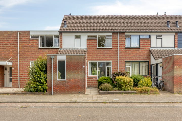 Foto 4 van Aronskelk 25