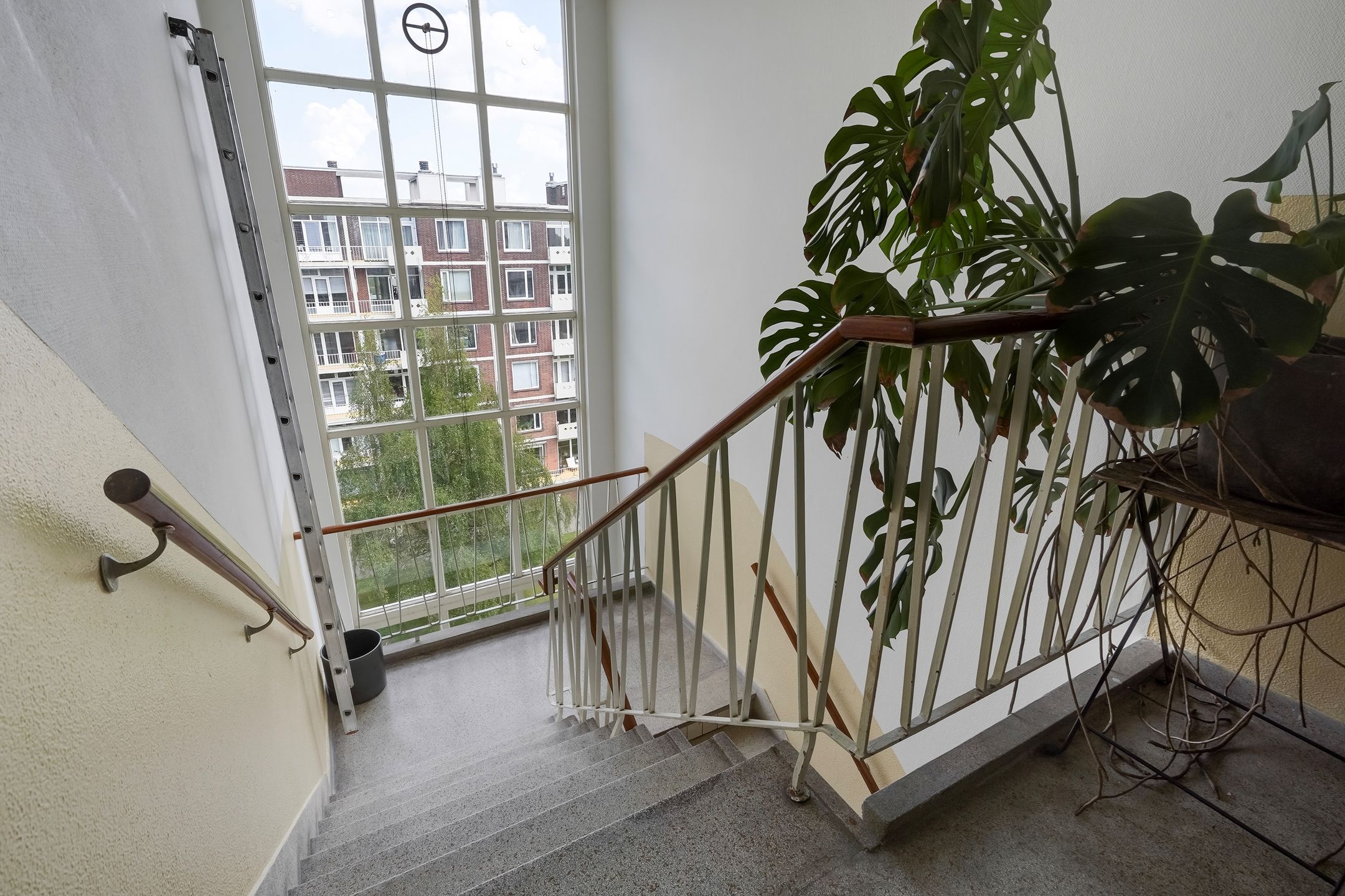 Photo 12 of Ranonkelstraat 267