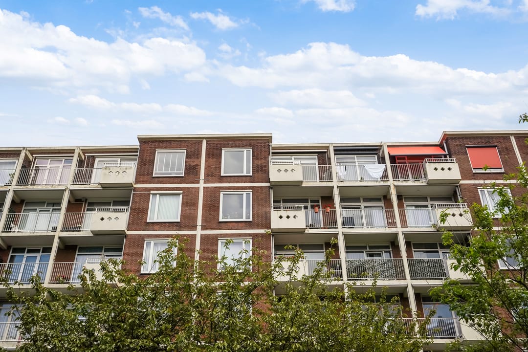 Photo 8 of Ranonkelstraat 267