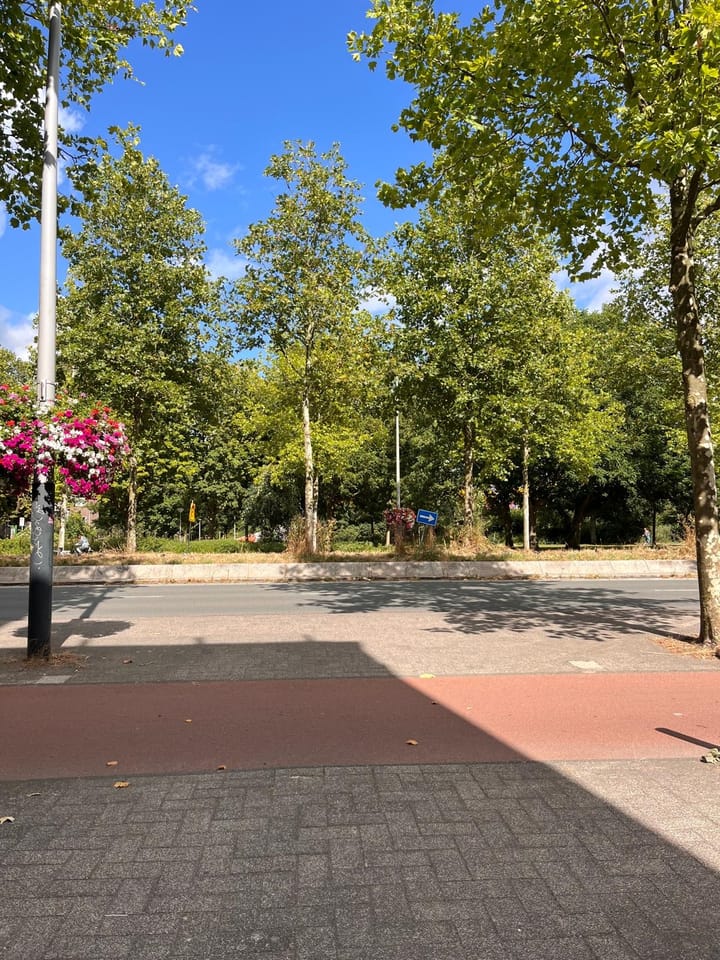 Foto 4 van Wibautstraat 182-PP